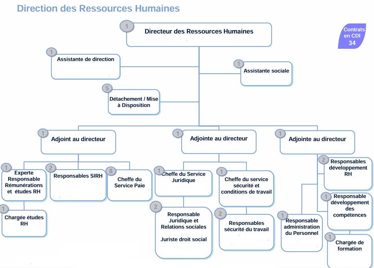 Organigramme DRH